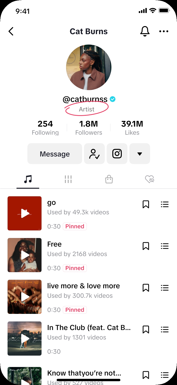 TikTok Artist Account